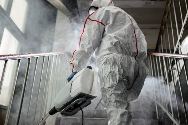 Best Asbestos and Lead Testing During Mold Inspection  in Burnet, TX